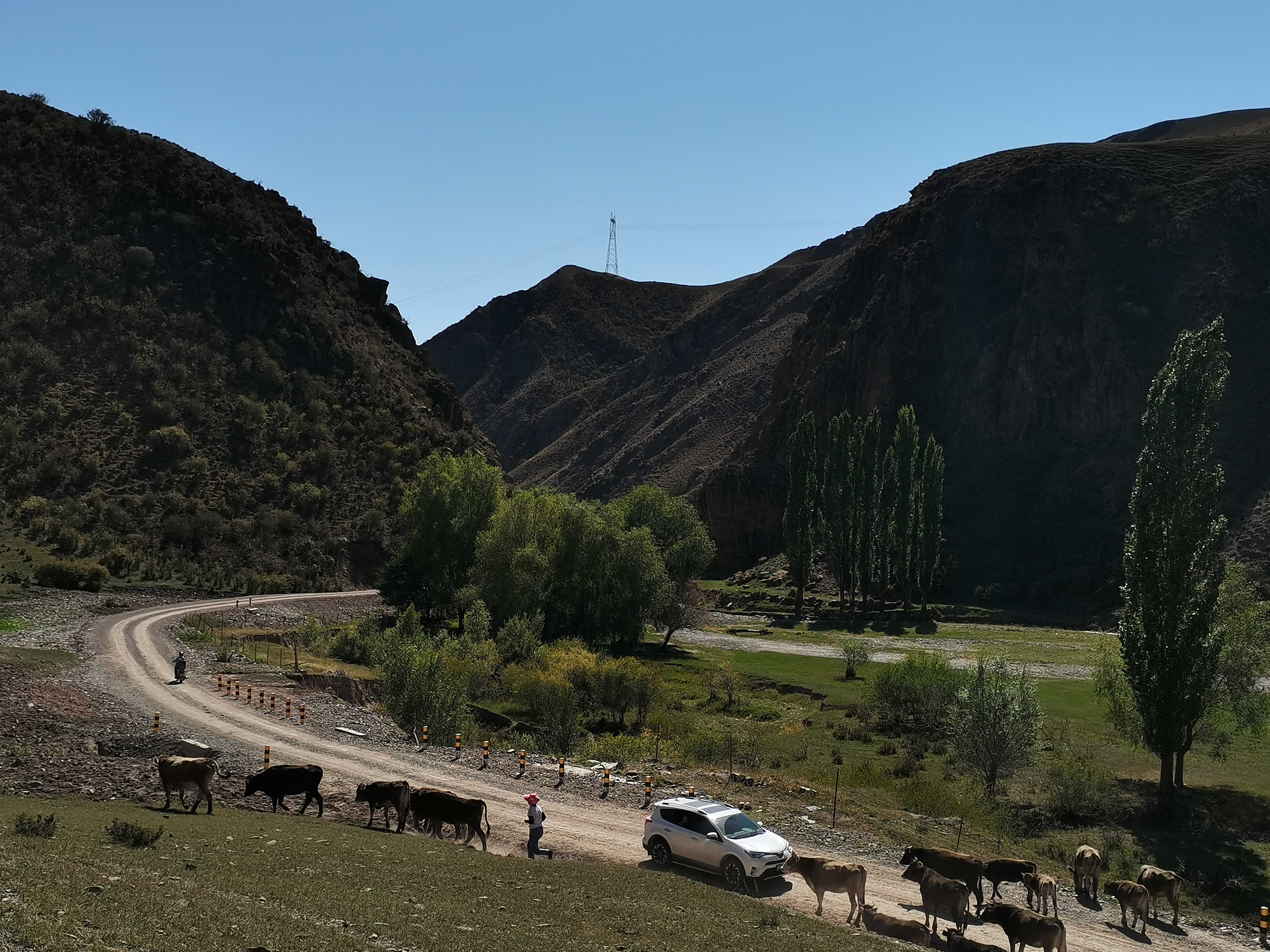 008_副本.jpg 008_副本.jpg